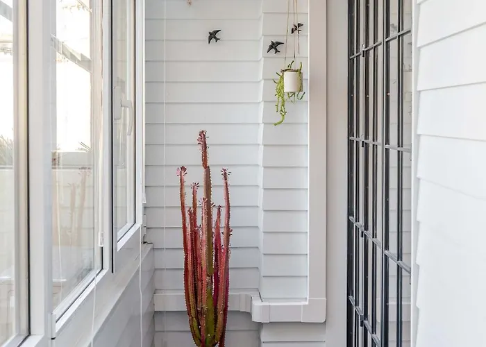 Apartment Light-filled Cedofeita By Hostwise *